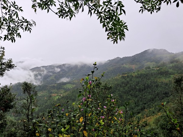 बैतडीः लगातारको वर्षाले जनजीवन  प्रभावित